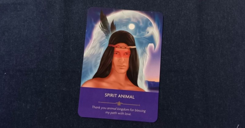 エンジェルプレイヤーオラクルカード～スピリットアニマル～